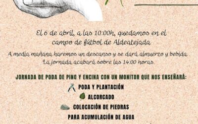 Jornadas medioambientales