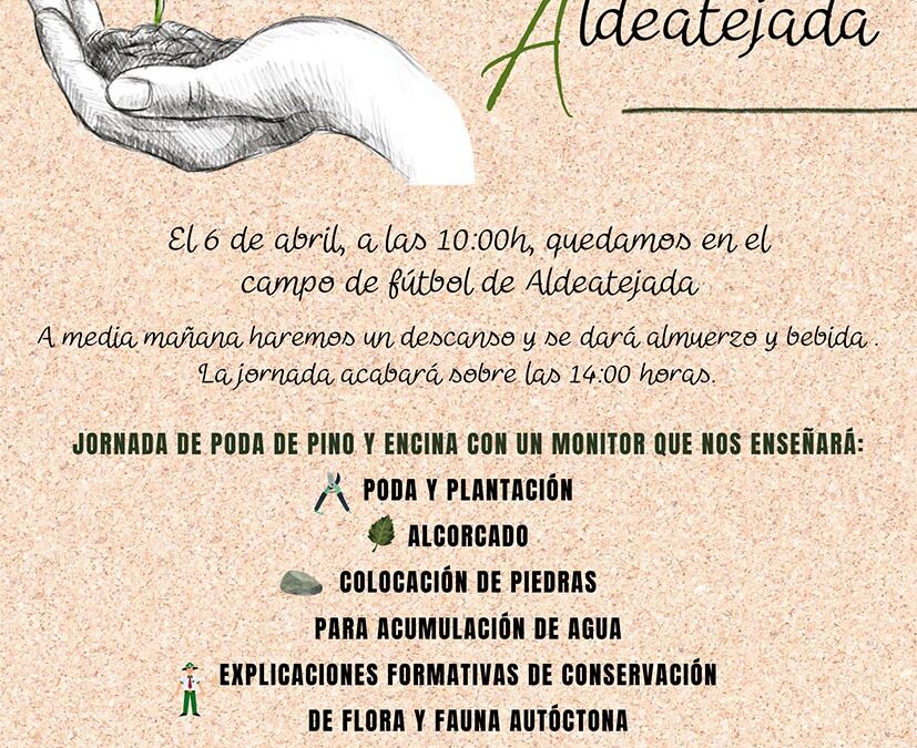 Jornadas medioambientales