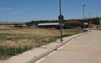 El Ayuntamiento minimiza el riesgo de incendios y plagas con la limpieza de caminos y parcelas rústicas y urbanas