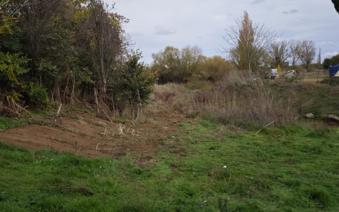 El Ayuntamiento limpia las calles del pueblo y el entorno del regato del Zurguén